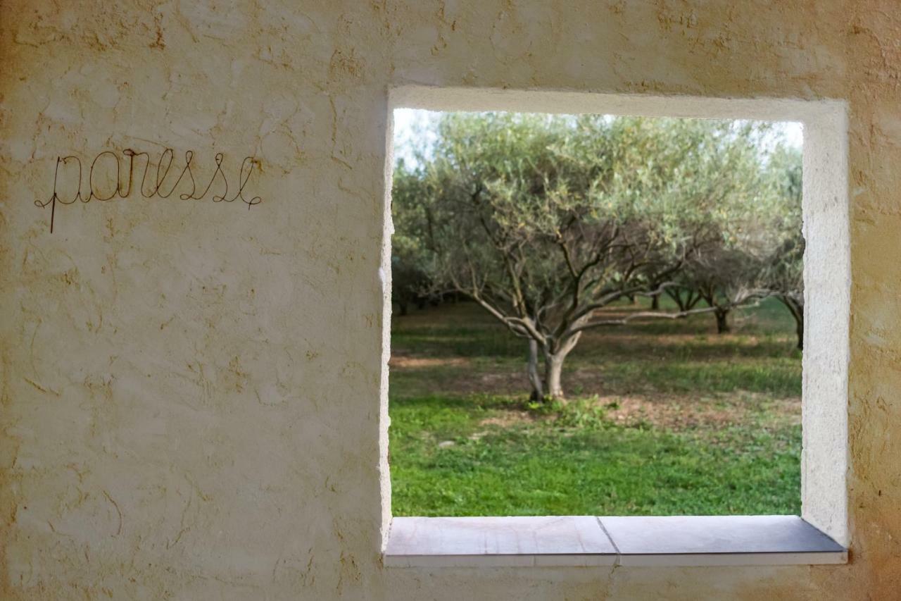 Mas De L'Arrivette Bed & Breakfast Saint-Genies-de-Comolas Bagian luar foto